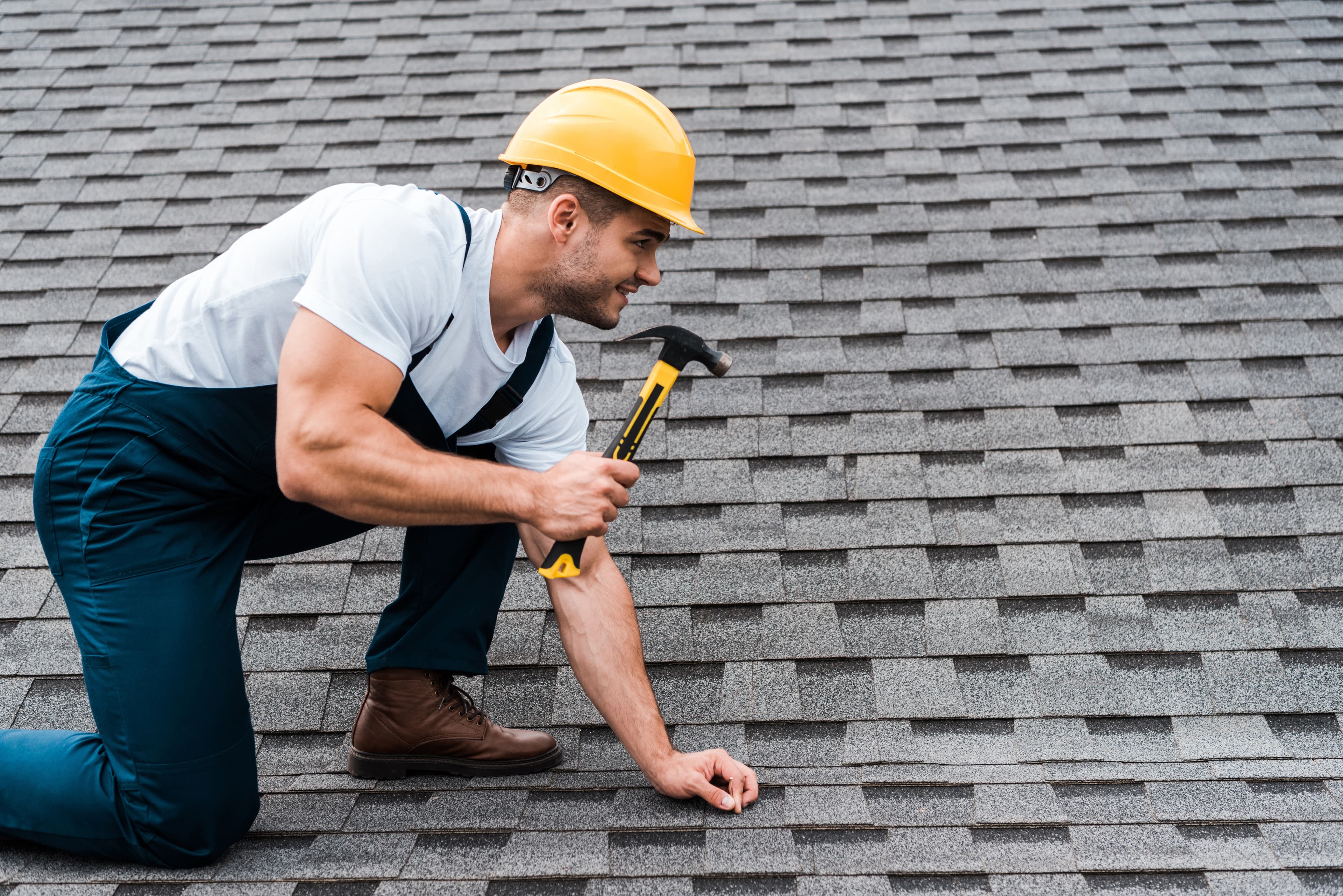 Featured post - The Homeowner’s Guide to Standing Seam